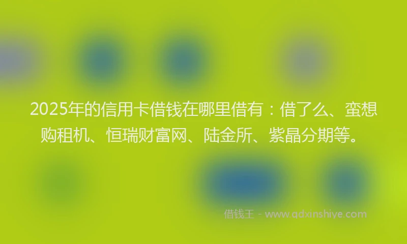 2025年的信用卡借钱在哪里借有：借了么、蛮想购租机、恒瑞财富网、陆金所、紫晶分期等。