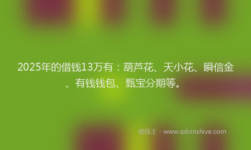 2025年的借钱13万有：葫芦花、天小花、瞬信金、有钱钱包、甄宝分期等。