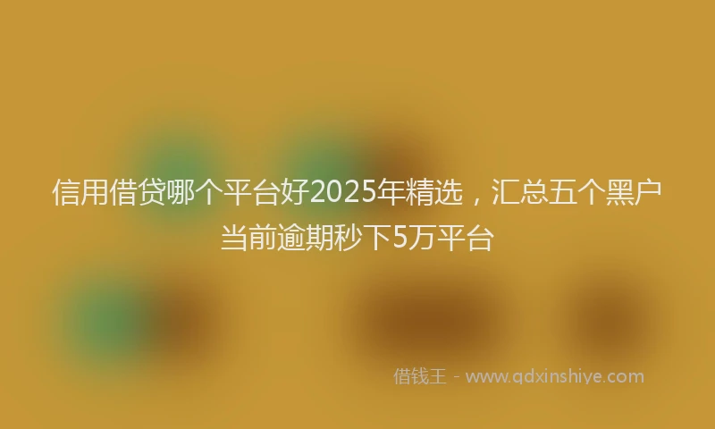 信用借贷哪个平台好2025年精选，汇总五个黑户当前逾期秒下5万平台