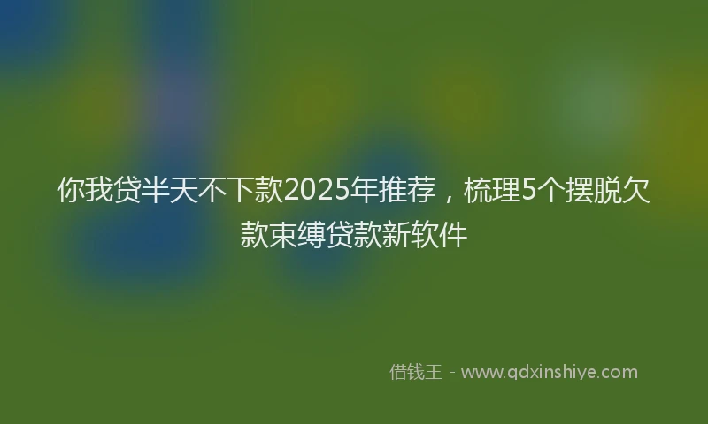 你我贷半天不下款2025年推荐，梳理5个摆脱欠款束缚贷款新软件