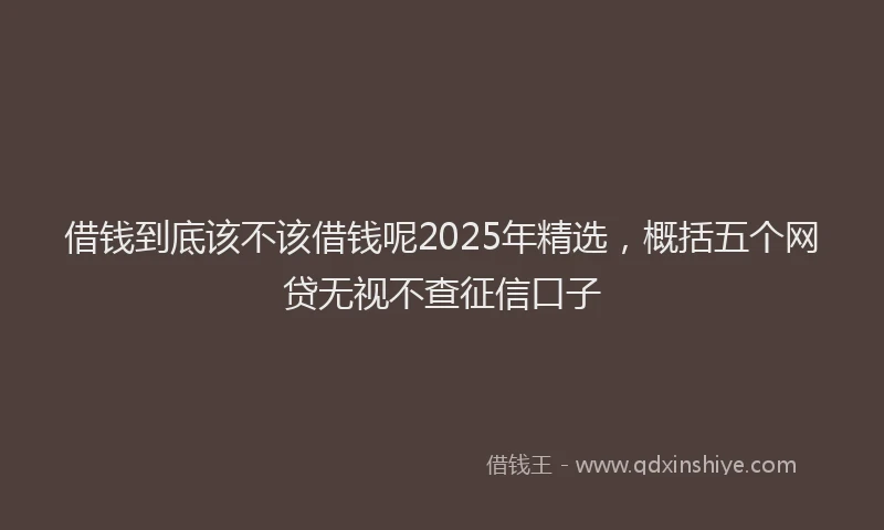 借钱到底该不该借钱呢2025年精选，概括五个网贷无视不查征信口子