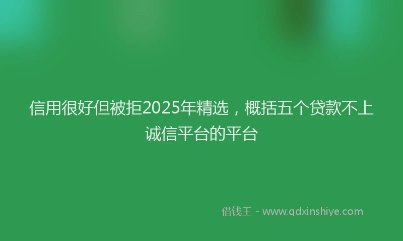 信用很好但被拒2025年精选，概括五个贷款不上诚信平台的平台