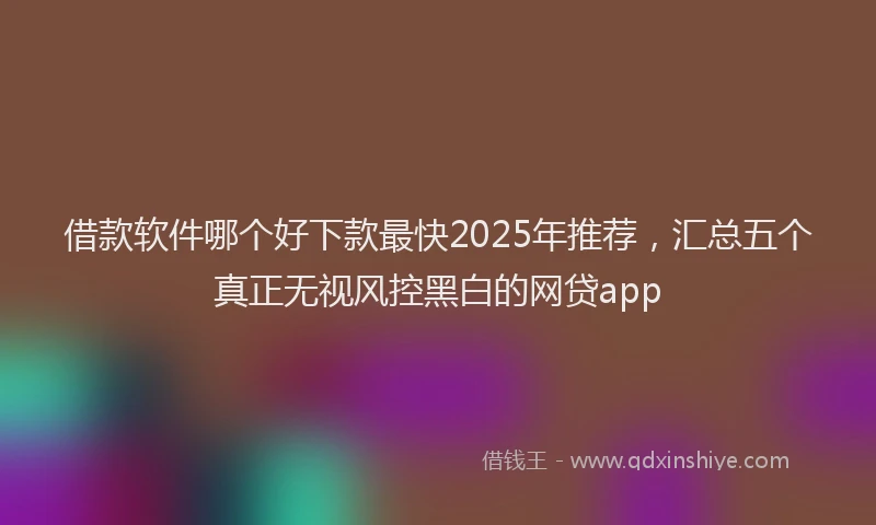 借款软件哪个好下款最快2025年推荐，汇总五个真正无视风控黑白的网贷app