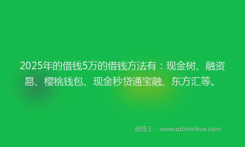 2025年的借钱5万的借钱方法有：现金树、融资易、樱桃钱包、现金秒贷通宝融、东方汇等。