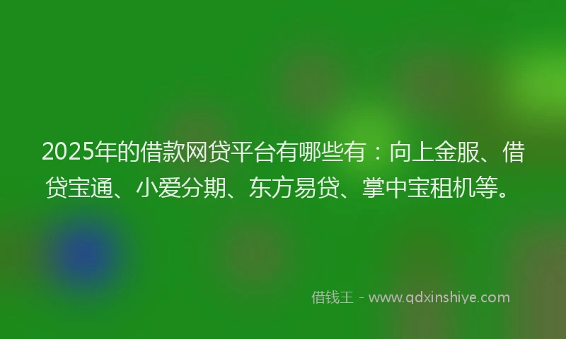 2025年的借款网贷平台有哪些有：向上金服、借贷宝通、小爱分期、东方易贷、掌中宝租机等。