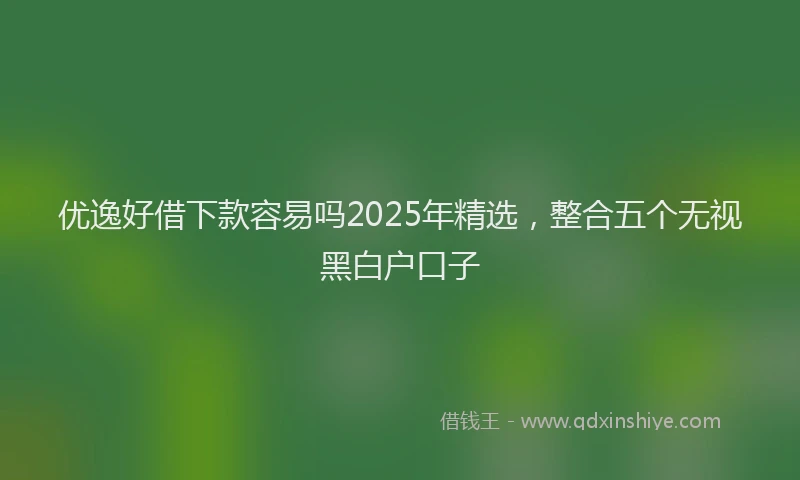 优逸好借下款容易吗2025年精选，整合五个无视黑白户口子