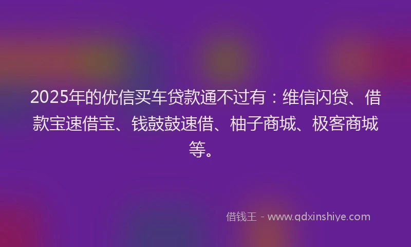 2025年的优信买车贷款通不过有：维信闪贷、借款宝速借宝、钱鼓鼓速借、柚子商城、极客商城等。