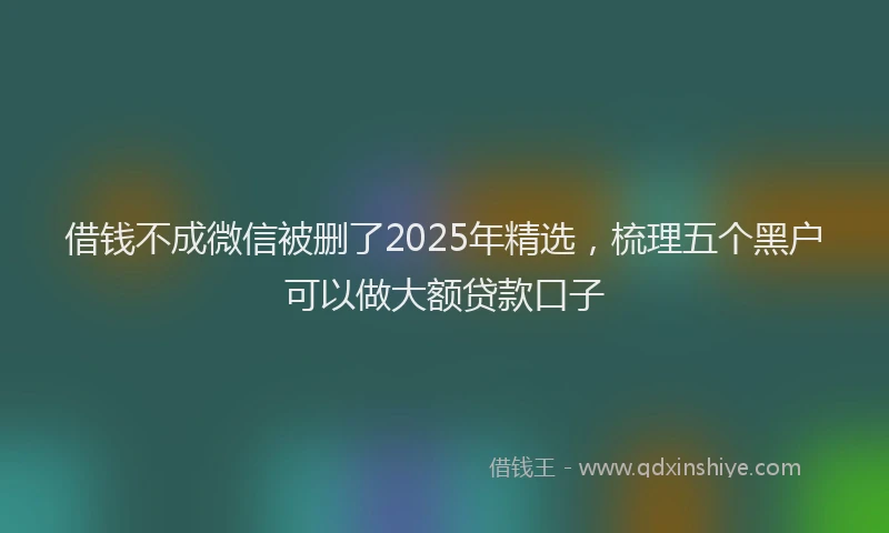 借钱不成微信被删了2025年精选，梳理五个黑户可以做大额贷款口子