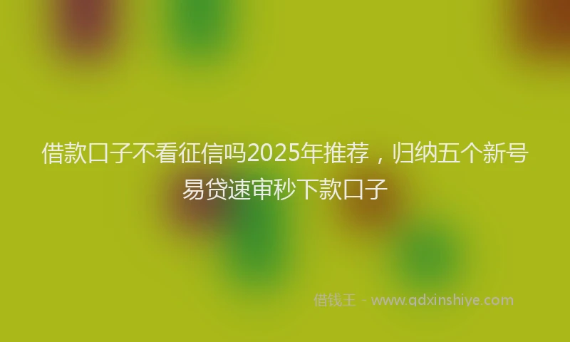 借款口子不看征信吗2025年推荐，归纳五个新号易贷速审秒下款口子