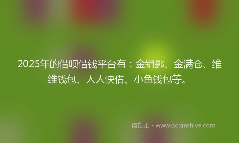 2025年的借呗借钱平台有：金钥匙、金满仓、维维钱包、人人快借、小鱼钱包等。