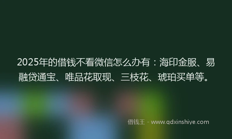 2025年的借钱不看微信怎么办有：海印金服、易融贷通宝、唯品花取现、三枝花、琥珀买单等。