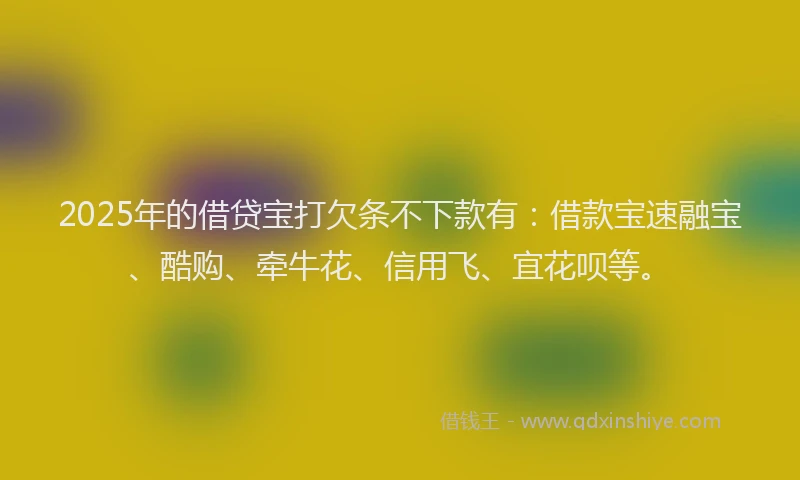 2025年的借贷宝打欠条不下款有：借款宝速融宝、酷购、牵牛花、信用飞、宜花呗等。