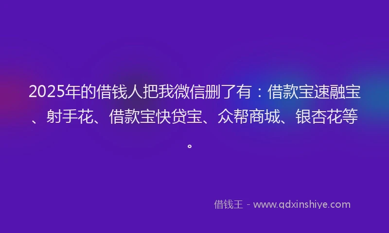 2025年的借钱人把我微信删了有：借款宝速融宝、射手花、借款宝快贷宝、众帮商城、银杏花等。