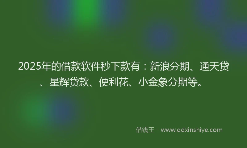 2025年的借款软件秒下款有：新浪分期、通天贷、星辉贷款、便利花、小金象分期等。