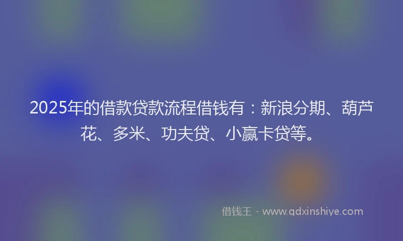 2025年的借款贷款流程借钱有：新浪分期、葫芦花、多米、功夫贷、小赢卡贷等。