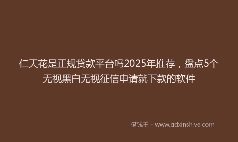 仁天花是正规贷款平台吗2025年推荐，盘点5个无视黑白无视征信申请就下款的软件