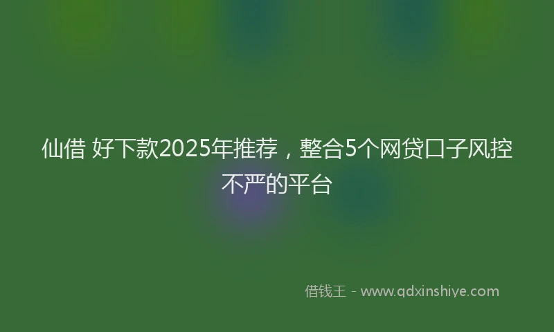 仙借 好下款2025年推荐，整合5个网贷口子风控不严的平台