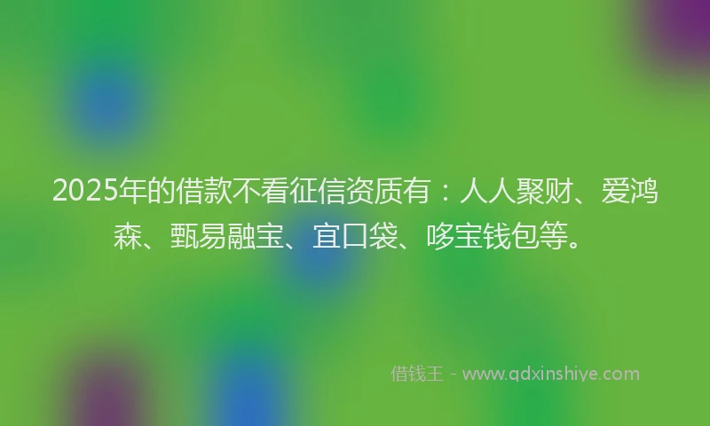 2025年的借款不看征信资质有：人人聚财、爱鸿森、甄易融宝、宜口袋、哆宝钱包等。