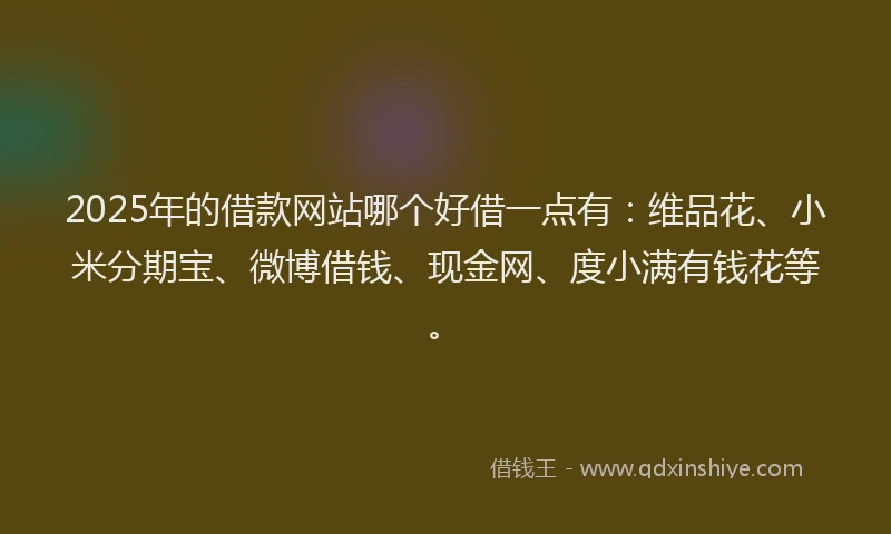 2025年的借款网站哪个好借一点有：维品花、小米分期宝、微博借钱、现金网、度小满有钱花等。