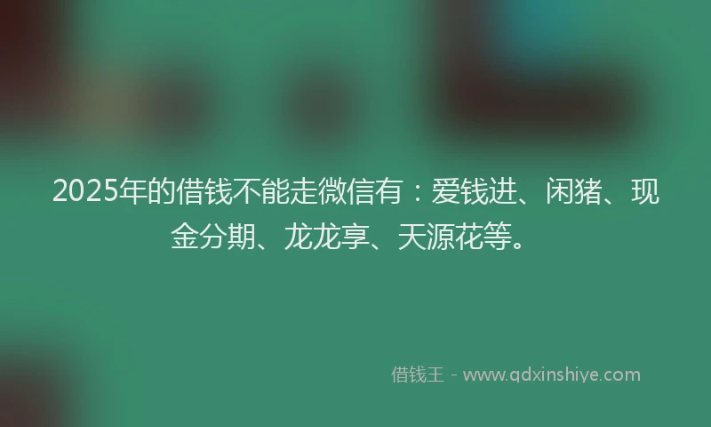 2025年的借钱不能走微信有：爱钱进、闲猪、现金分期、龙龙享、天源花等。