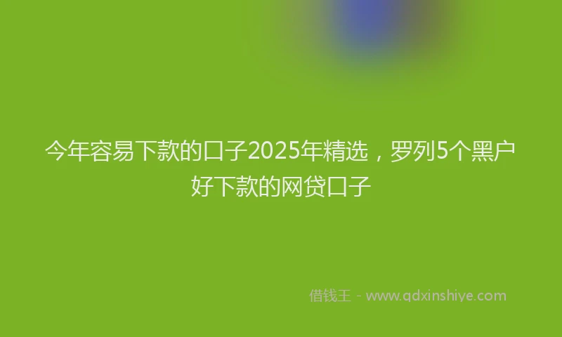 今年容易下款的口子2025年精选，罗列5个黑户好下款的网贷口子