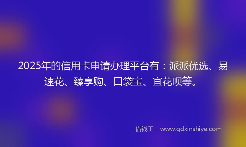 2025年的信用卡申请办理平台有：派派优选、易速花、臻享购、口袋宝、宜花呗等。