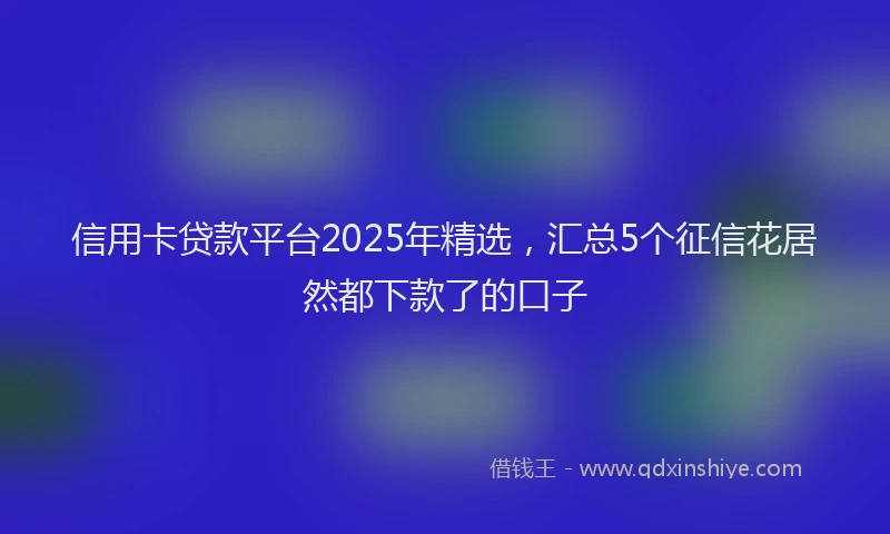 信用卡贷款平台2025年精选，汇总5个征信花居然都下款了的口子