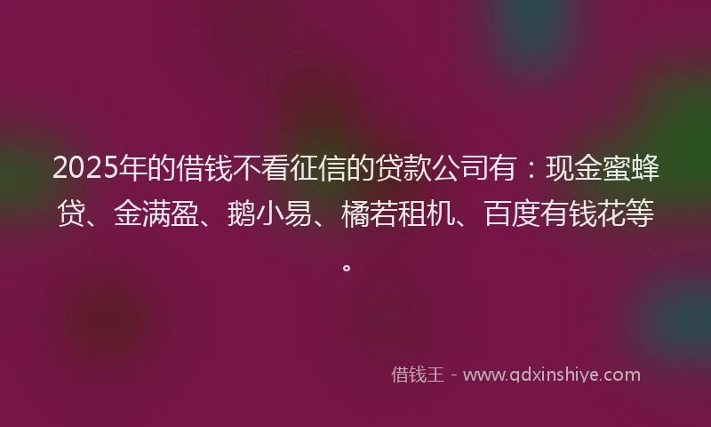 2025年的借钱不看征信的贷款公司有：现金蜜蜂贷、金满盈、鹅小易、橘若租机、百度有钱花等。