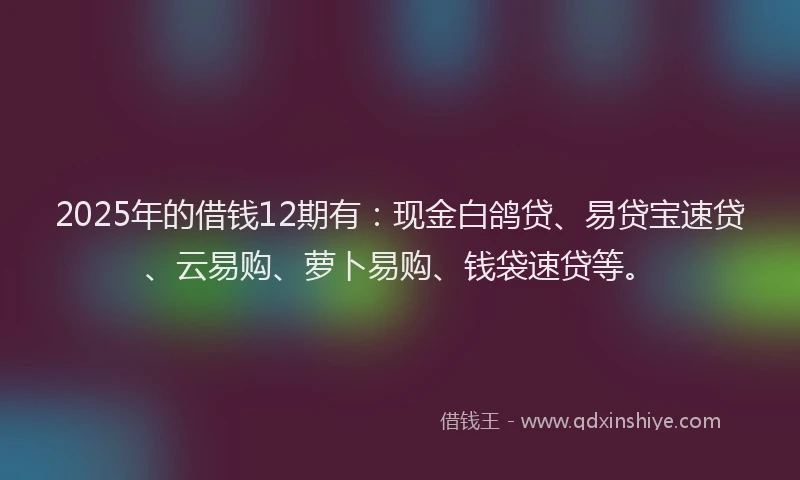 2025年的借钱12期有：现金白鸽贷、易贷宝速贷、云易购、萝卜易购、钱袋速贷等。