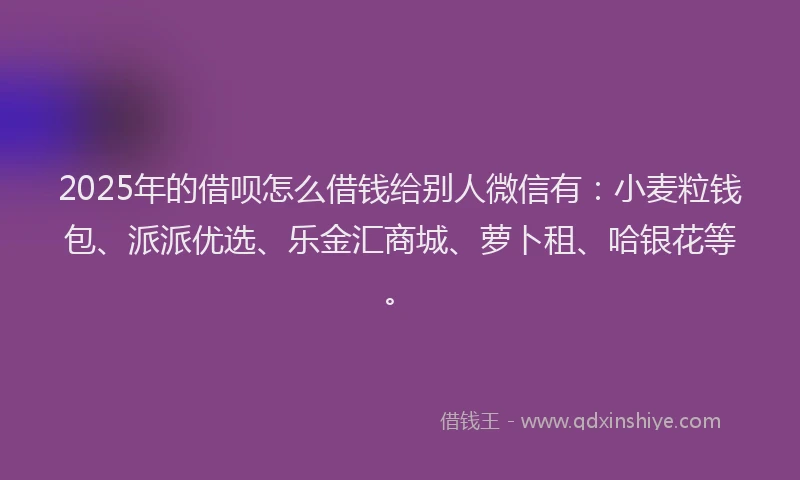2025年的借呗怎么借钱给别人微信有：小麦粒钱包、派派优选、乐金汇商城、萝卜租、哈银花等。