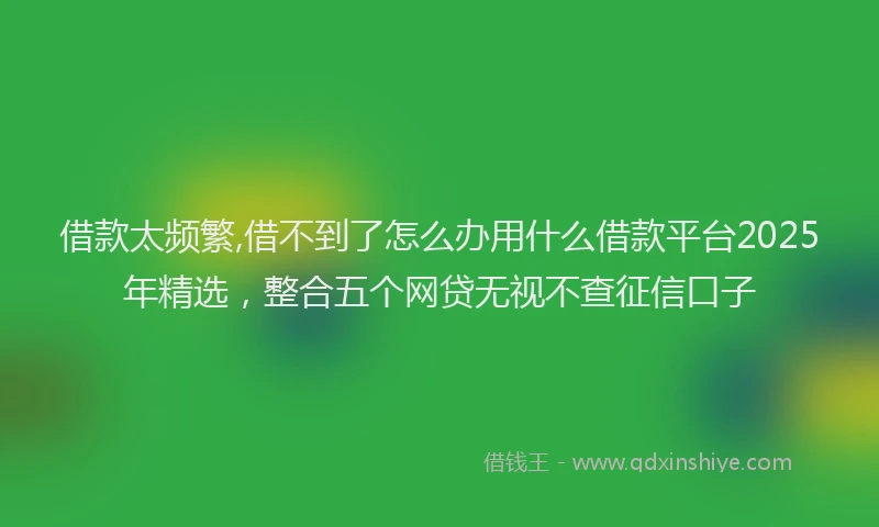 借款太频繁,借不到了怎么办用什么借款平台2025年精选，整合五个网贷无视不查征信口子