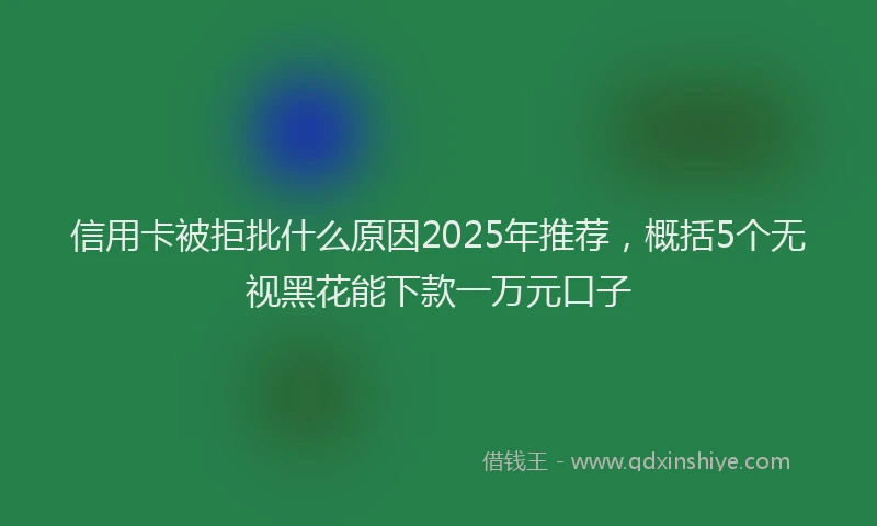 信用卡被拒批什么原因2025年推荐，概括5个无视黑花能下款一万元口子