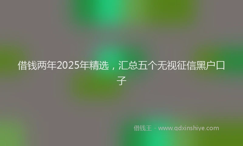 借钱两年2025年精选，汇总五个无视征信黑户口子
