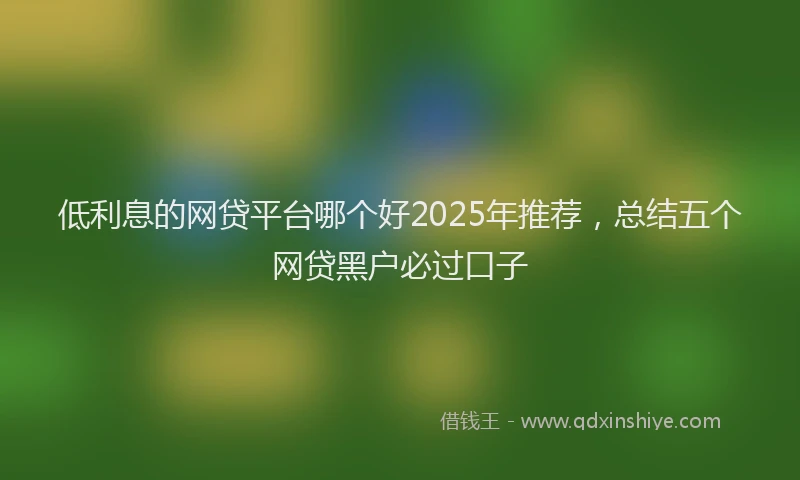 低利息的网贷平台哪个好2025年推荐，总结五个网贷黑户必过口子
