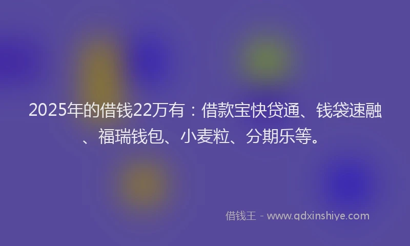 2025年的借钱22万有：借款宝快贷通、钱袋速融、福瑞钱包、小麦粒、分期乐等。