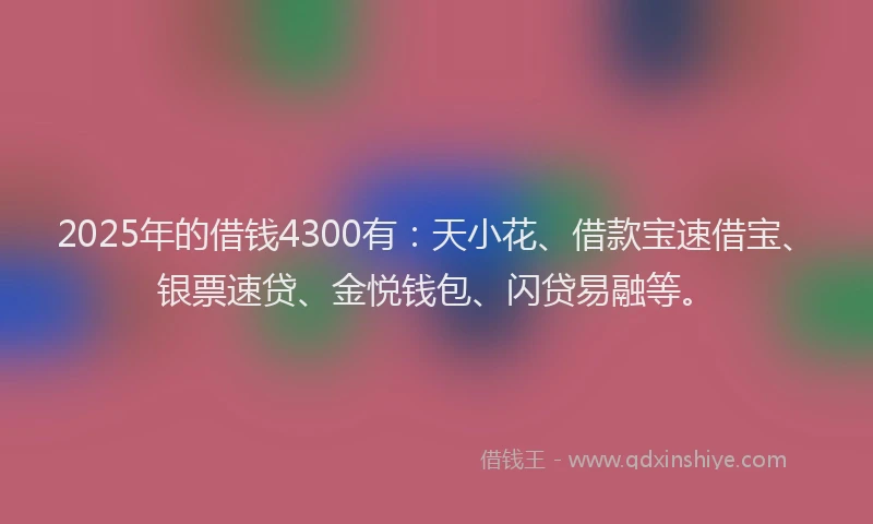 2025年的借钱4300有：天小花、借款宝速借宝、银票速贷、金悦钱包、闪贷易融等。