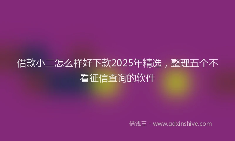 借款小二怎么样好下款2025年精选，整理五个不看征信查询的软件