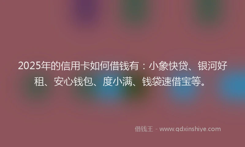 2025年的信用卡如何借钱有：小象快贷、银河好租、安心钱包、度小满、钱袋速借宝等。