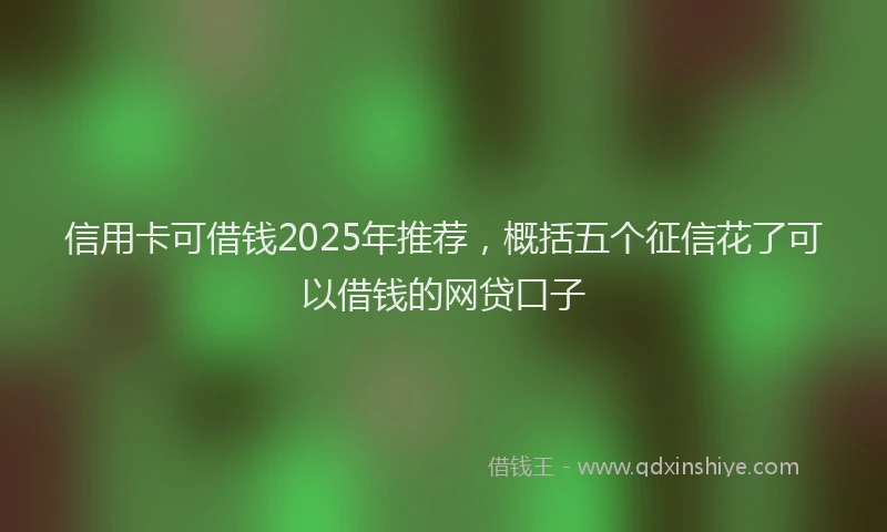 信用卡可借钱2025年推荐，概括五个征信花了可以借钱的网贷口子