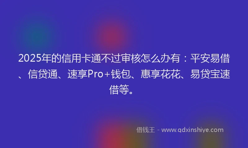 2025年的信用卡通不过审核怎么办有：平安易借、信贷通、速享Pro+钱包、惠享花花、易贷宝速借等。