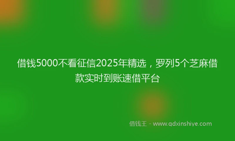 借钱5000不看征信2025年精选，罗列5个芝麻借款实时到账速借平台