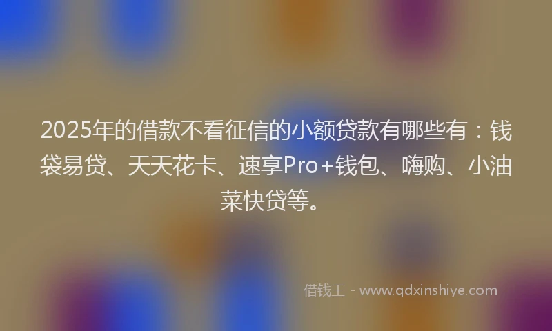 2025年的借款不看征信的小额贷款有哪些有：钱袋易贷、天天花卡、速享Pro+钱包、嗨购、小油菜快贷等。