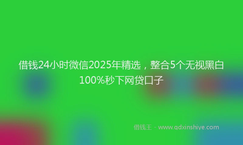 借钱24小时微信2025年精选，整合5个无视黑白100%秒下网贷口子