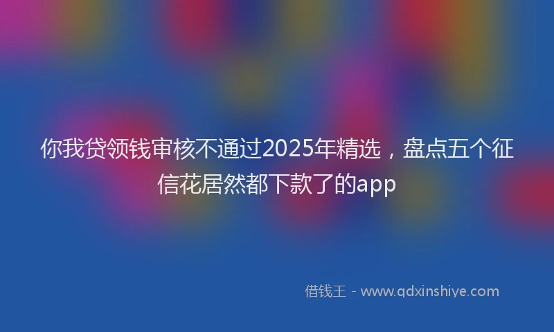 你我贷领钱审核不通过2025年精选，盘点五个征信花居然都下款了的app