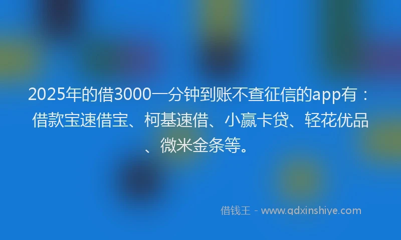 2025年的借3000一分钟到账不查征信的app有：借款宝速借宝、柯基速借、小赢卡贷、轻花优品、微米金条等。