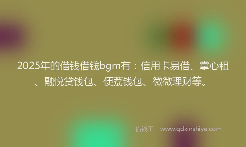 2025年的借钱借钱bgm有：信用卡易借、掌心租、融悦贷钱包、便荔钱包、微微理财等。