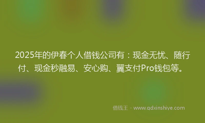 2025年的伊春个人借钱公司有：现金无忧、随行付、现金秒融易、安心购、翼支付Pro钱包等。