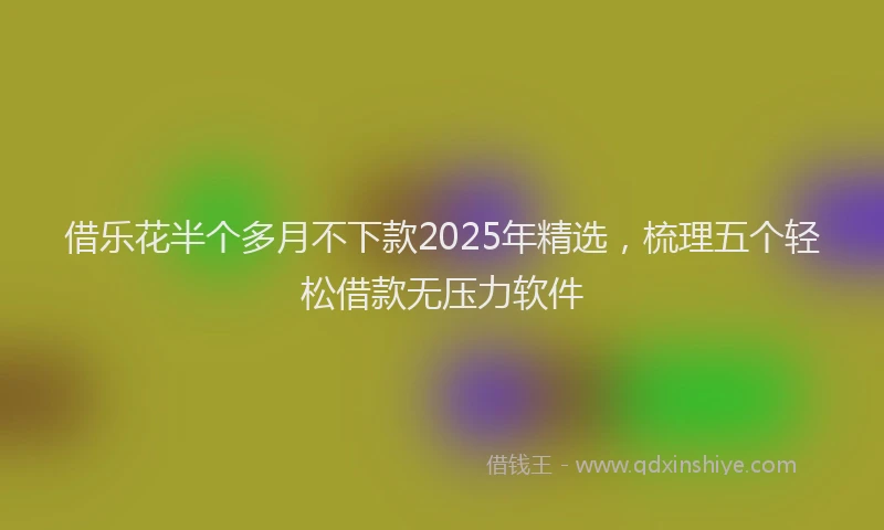 借乐花半个多月不下款2025年精选，梳理五个轻松借款无压力软件