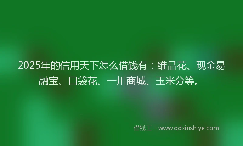2025年的信用天下怎么借钱有：维品花、现金易融宝、口袋花、一川商城、玉米分等。
