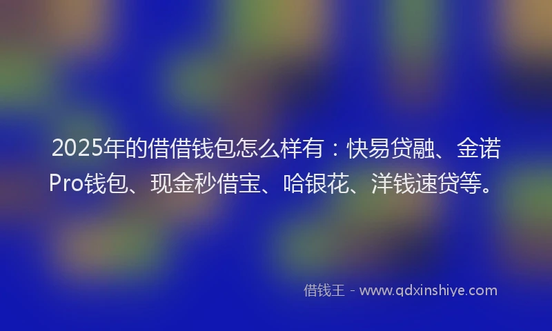 2025年的借借钱包怎么样有：快易贷融、金诺Pro钱包、现金秒借宝、哈银花、洋钱速贷等。
